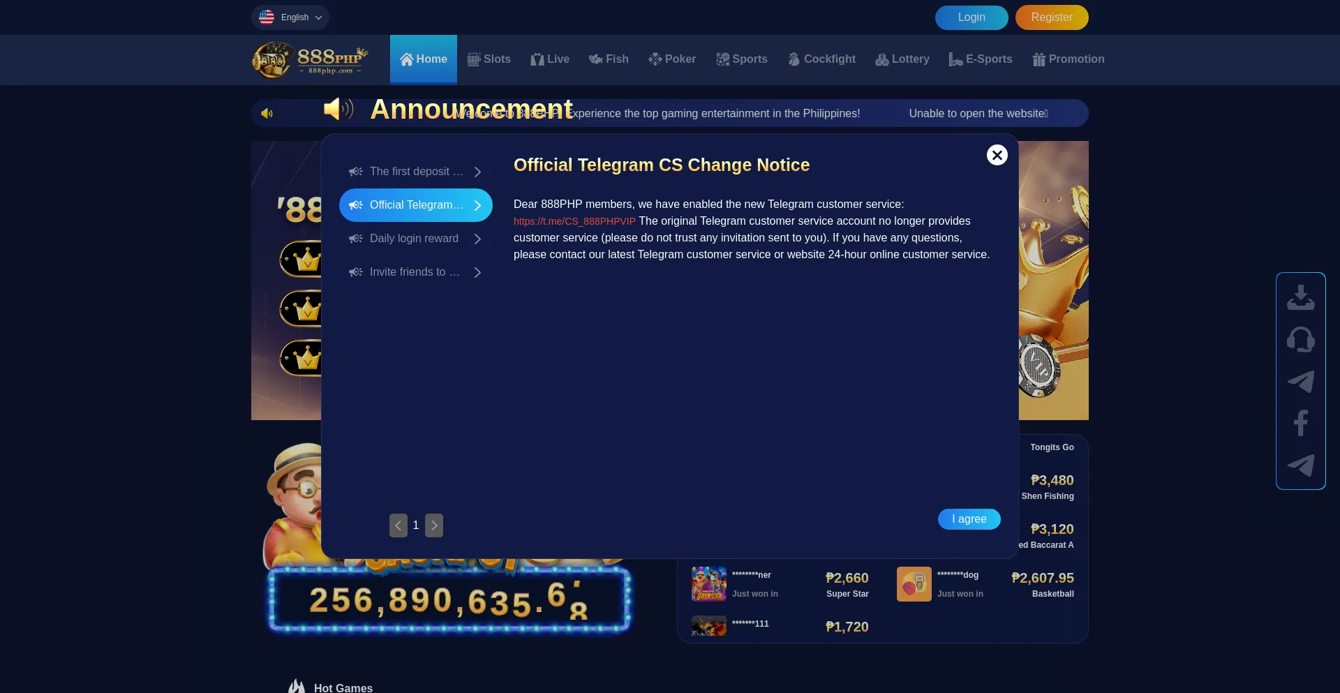 Website screenshot of 888php30.com