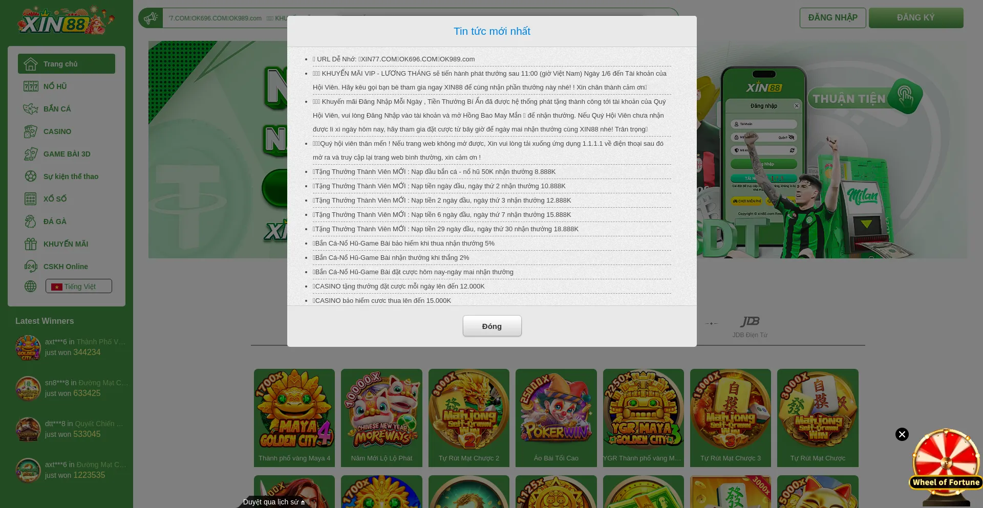 Website screenshot of 89xin.cc