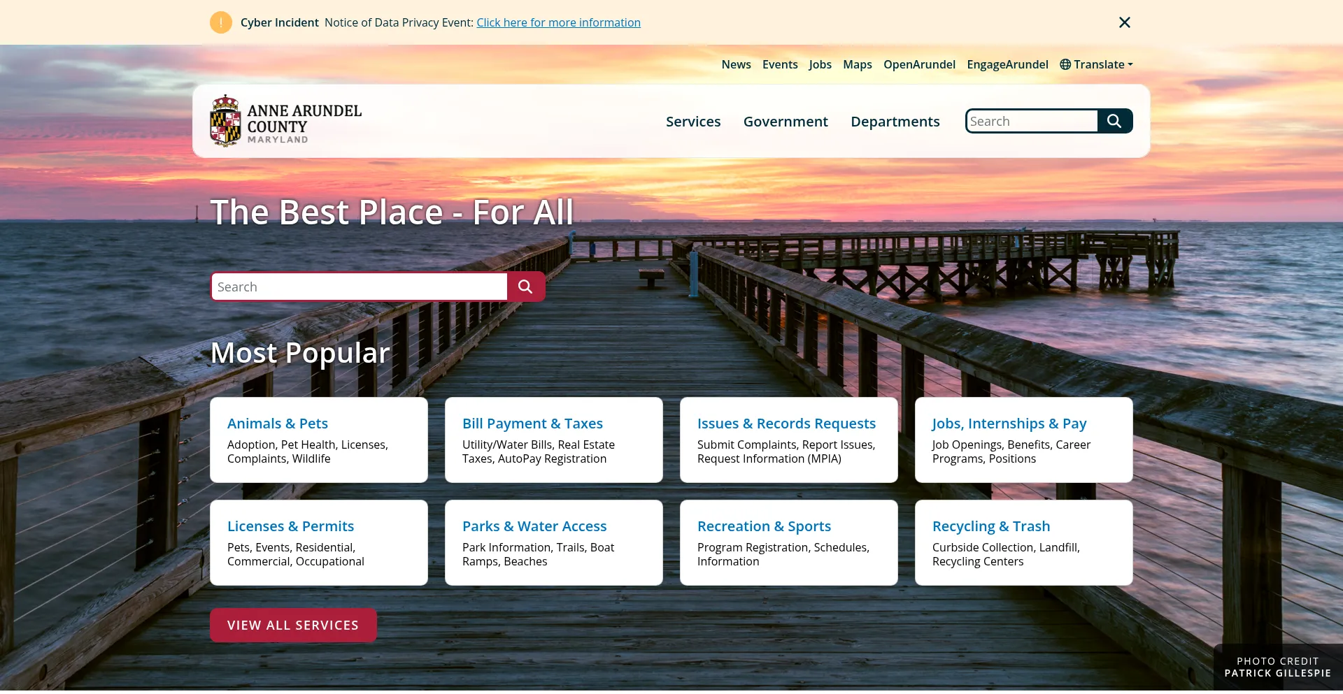 Website screenshot of Aacounty.org