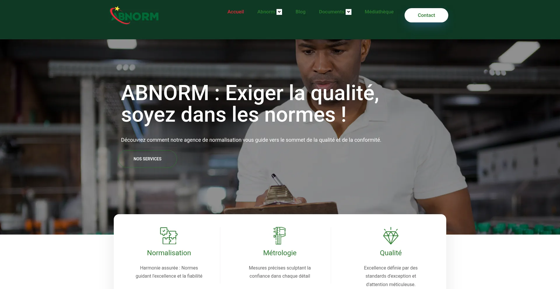 Website screenshot of Abnorm.bf