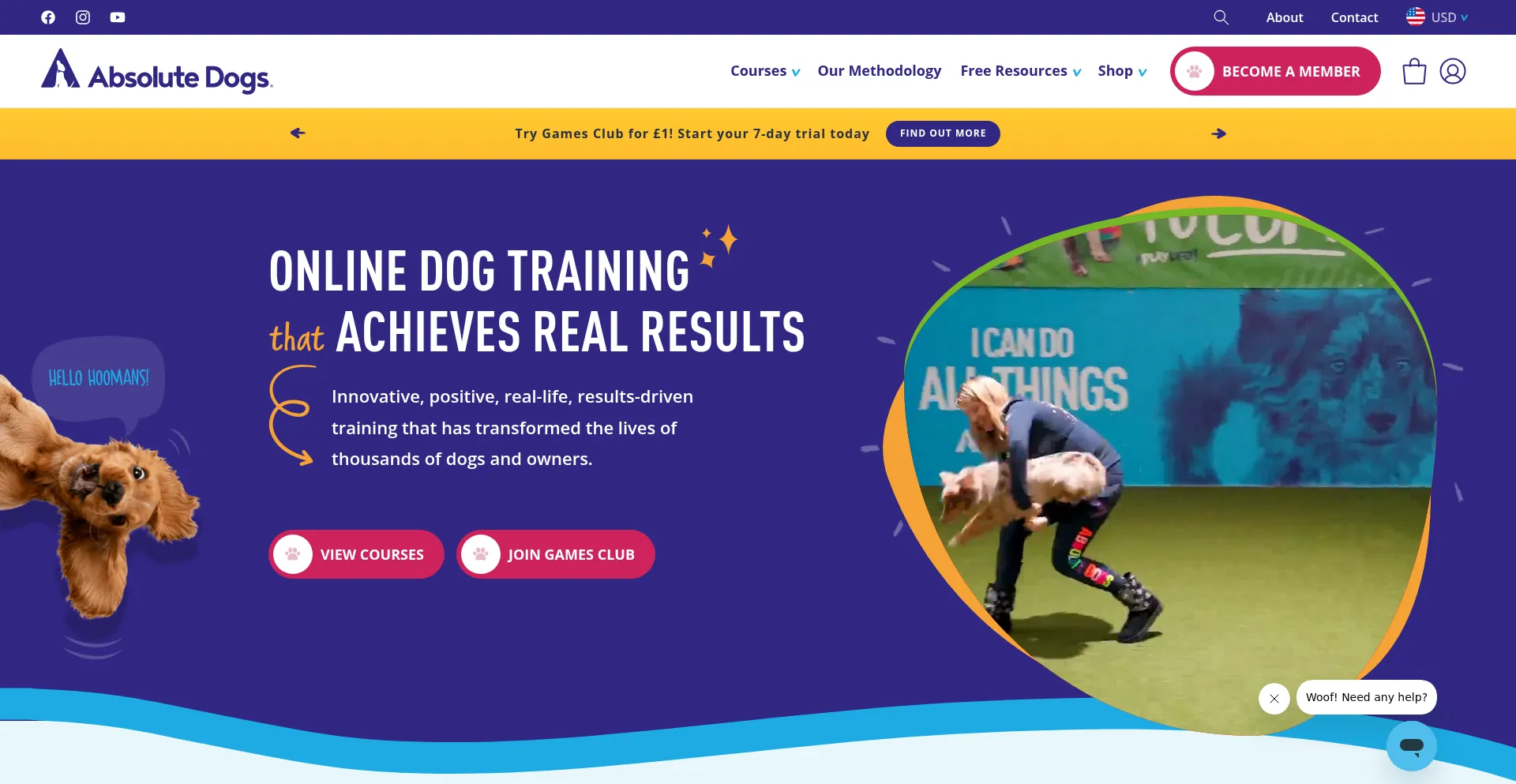 Absolute-dogs.com