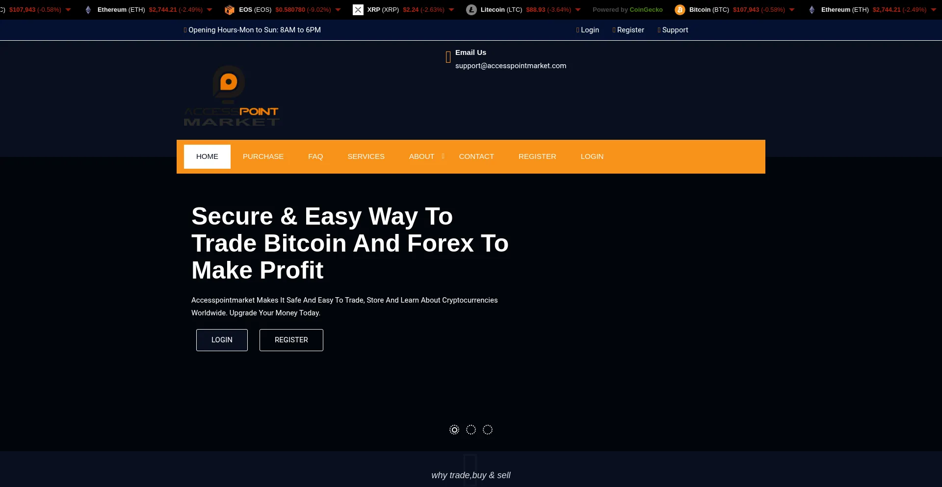 Website screenshot of Accesspointmarket.com