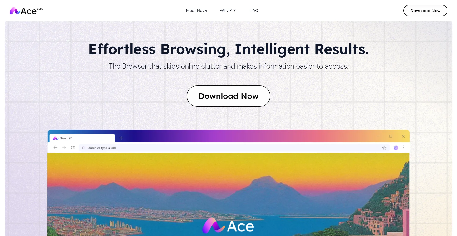 Is Acebrowser.ai Safe?