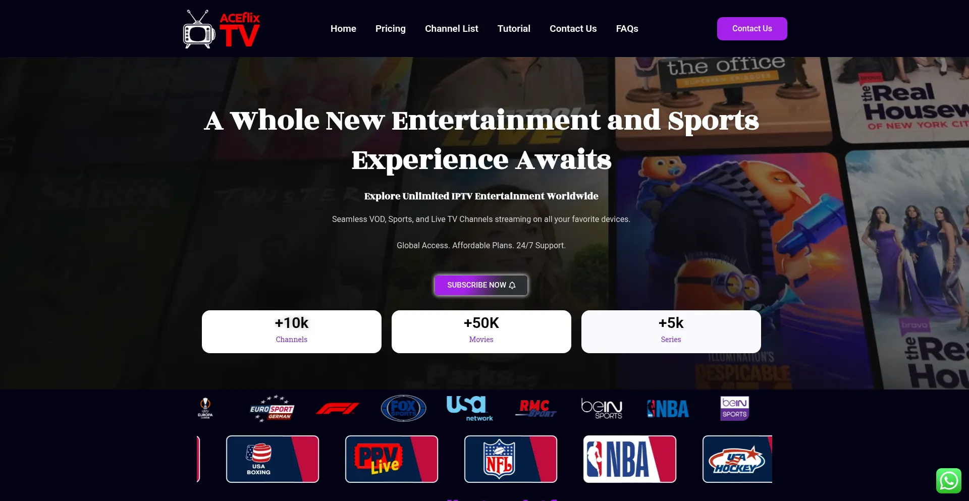Website screenshot of Aceflixtv.com