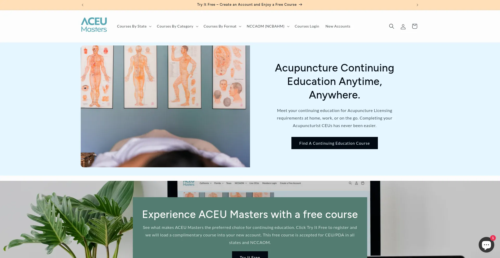 Aceumasters.com