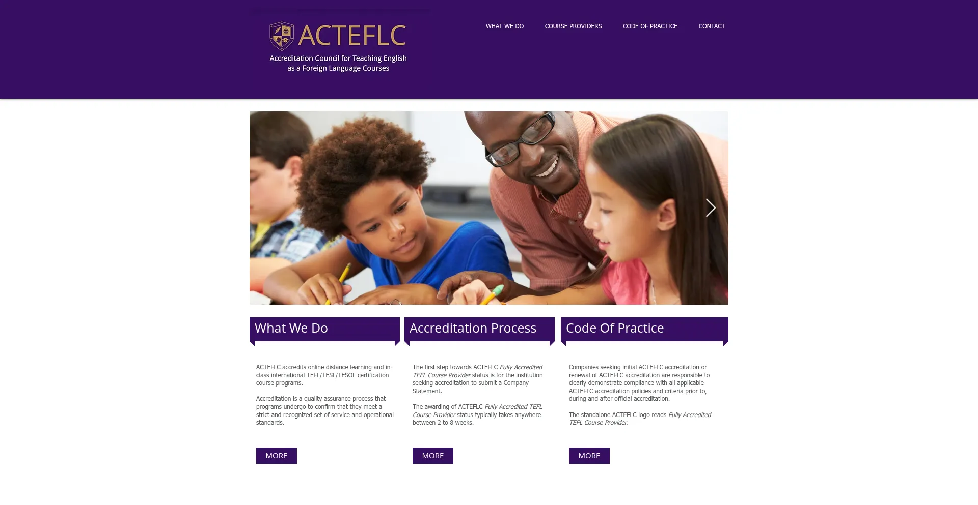 Website screenshot of Acteflc.com