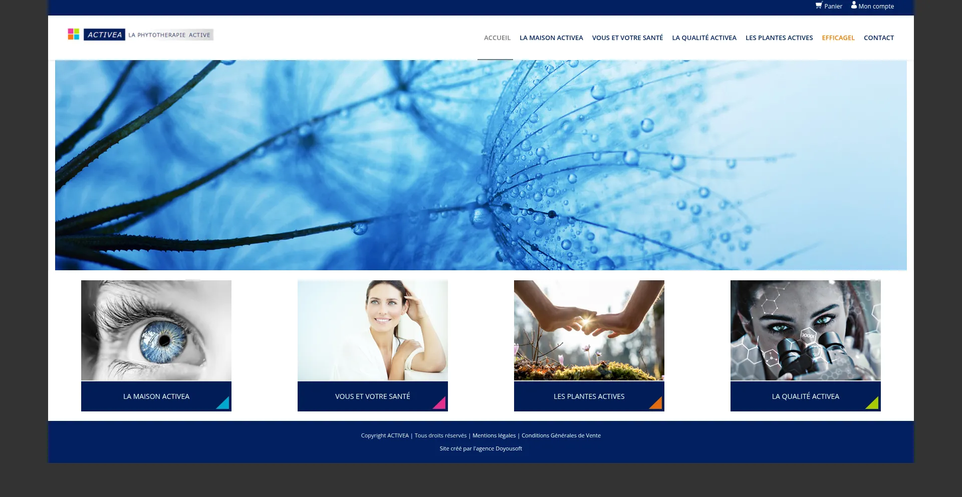 Activea.fr