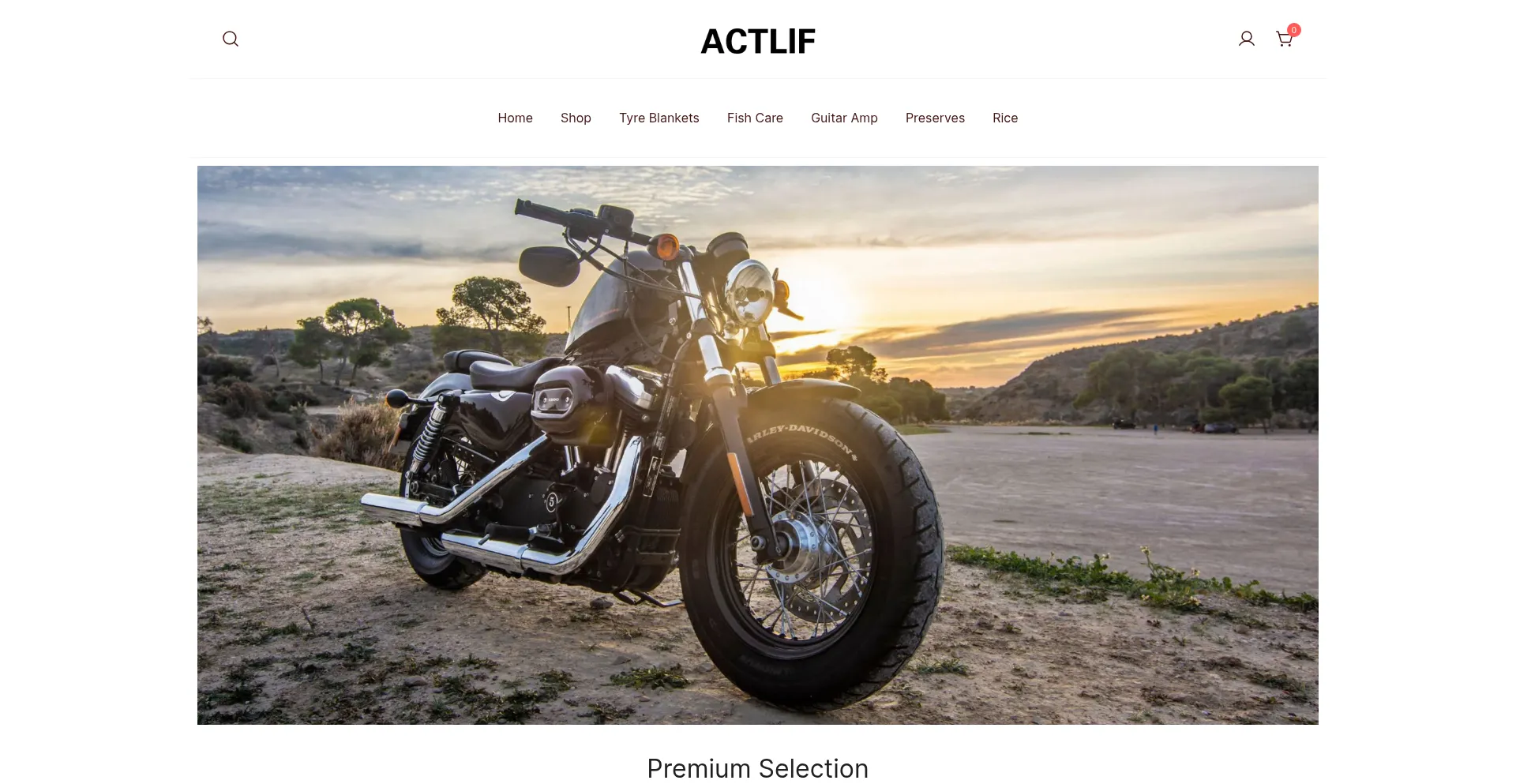 Activelifeentertainment.com Screenshot
