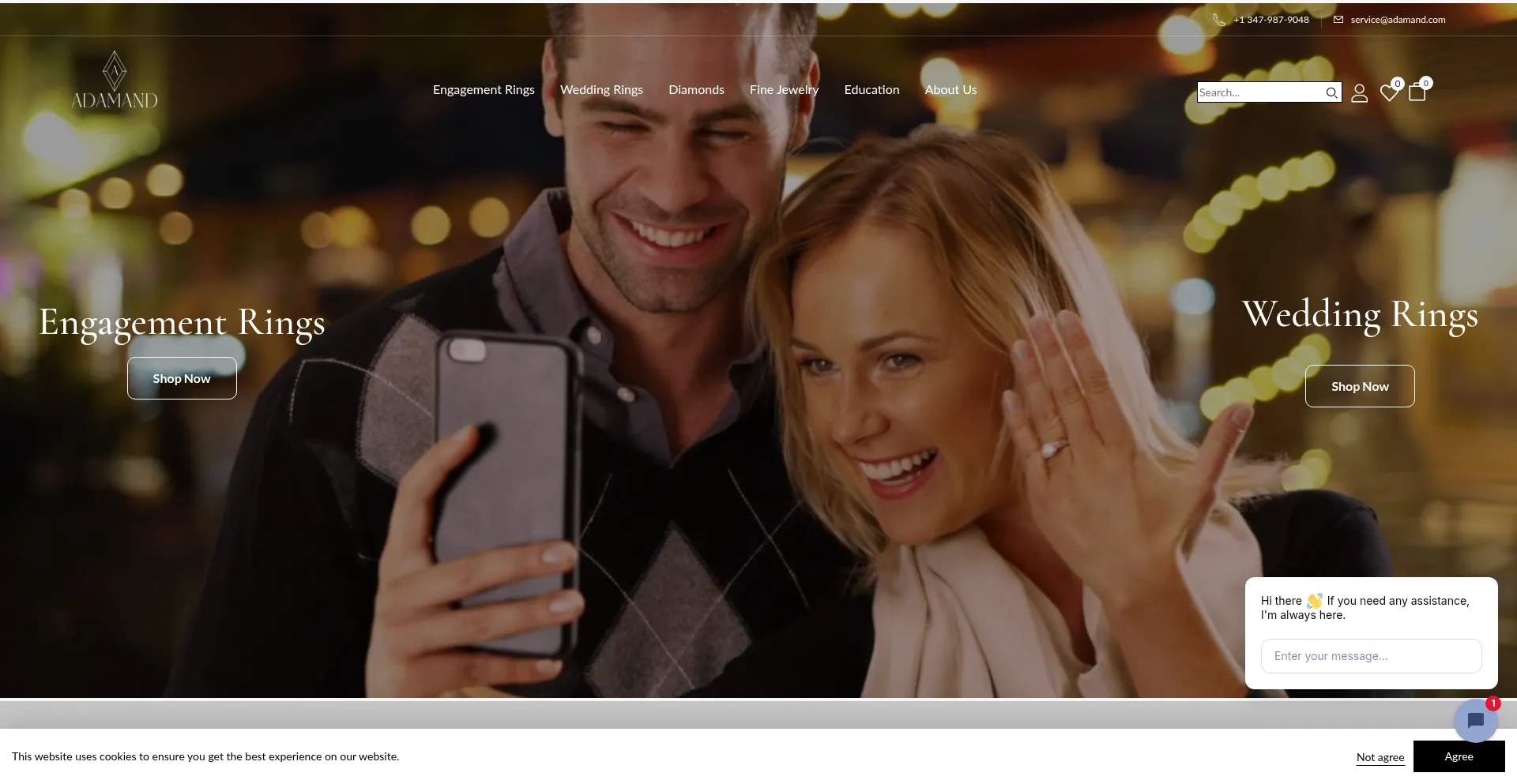 Adamandcorp.com Screenshot