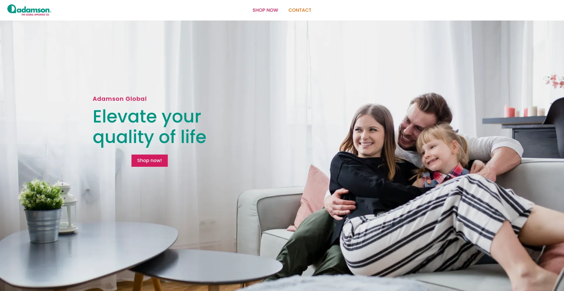 Website screenshot of Adamsonglobal.com