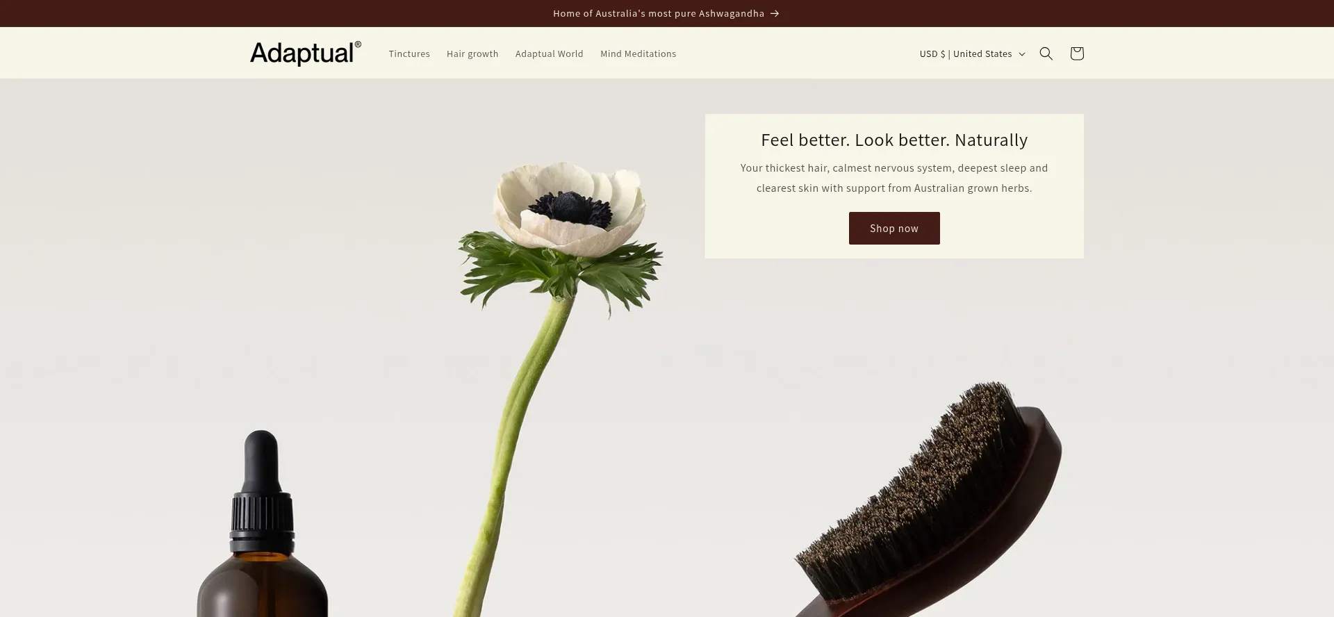 Website screenshot of Adaptualhealth.com
