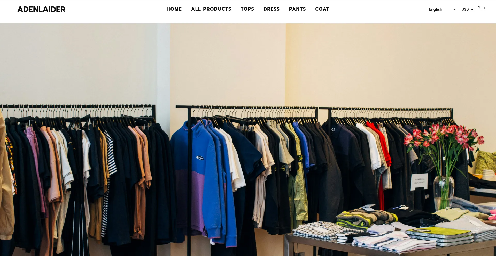 Website screenshot of Adenlaider.com