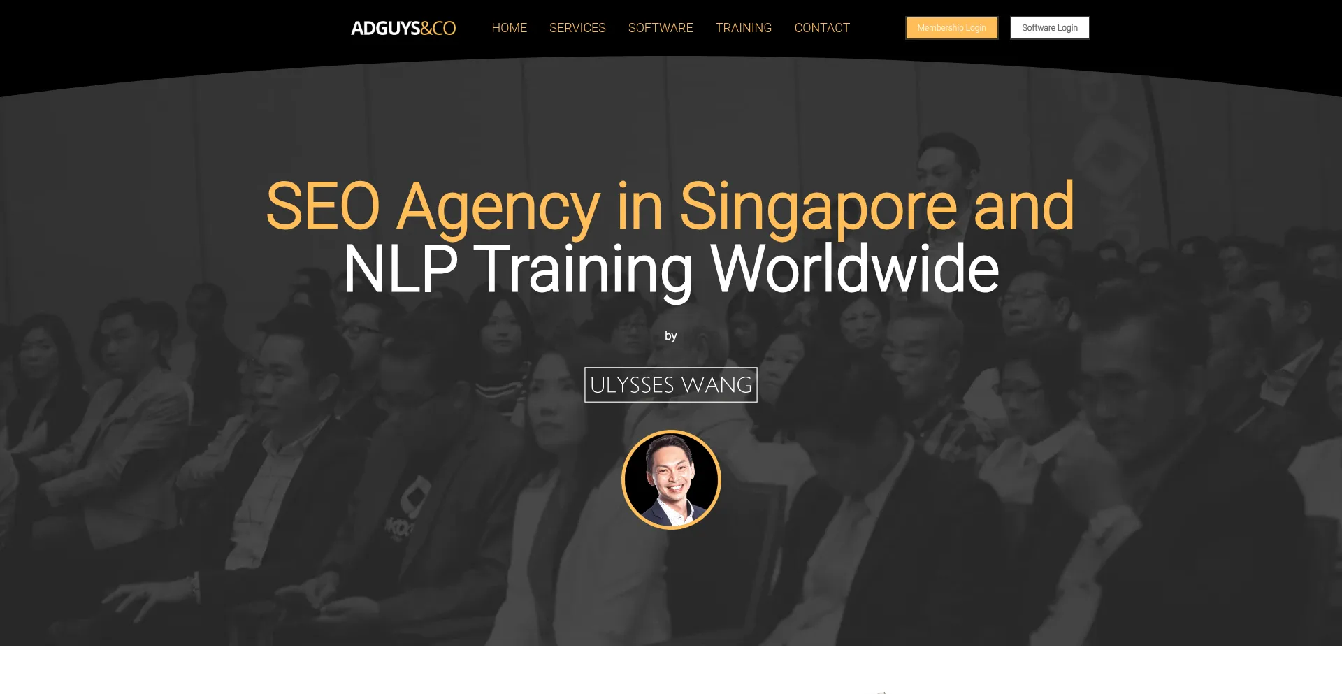 Website screenshot of Adguysco.com