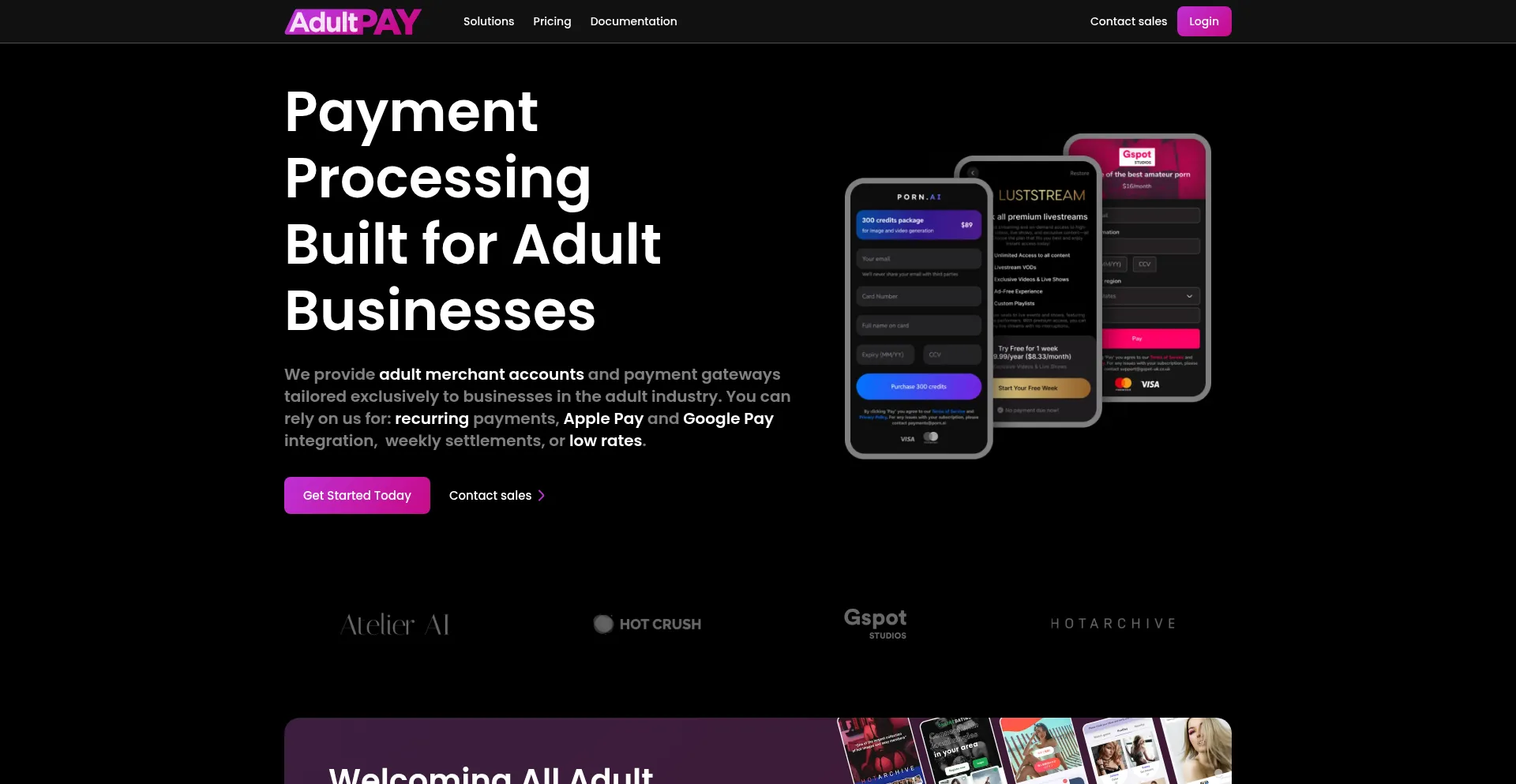 Website screenshot of Adultpay.io