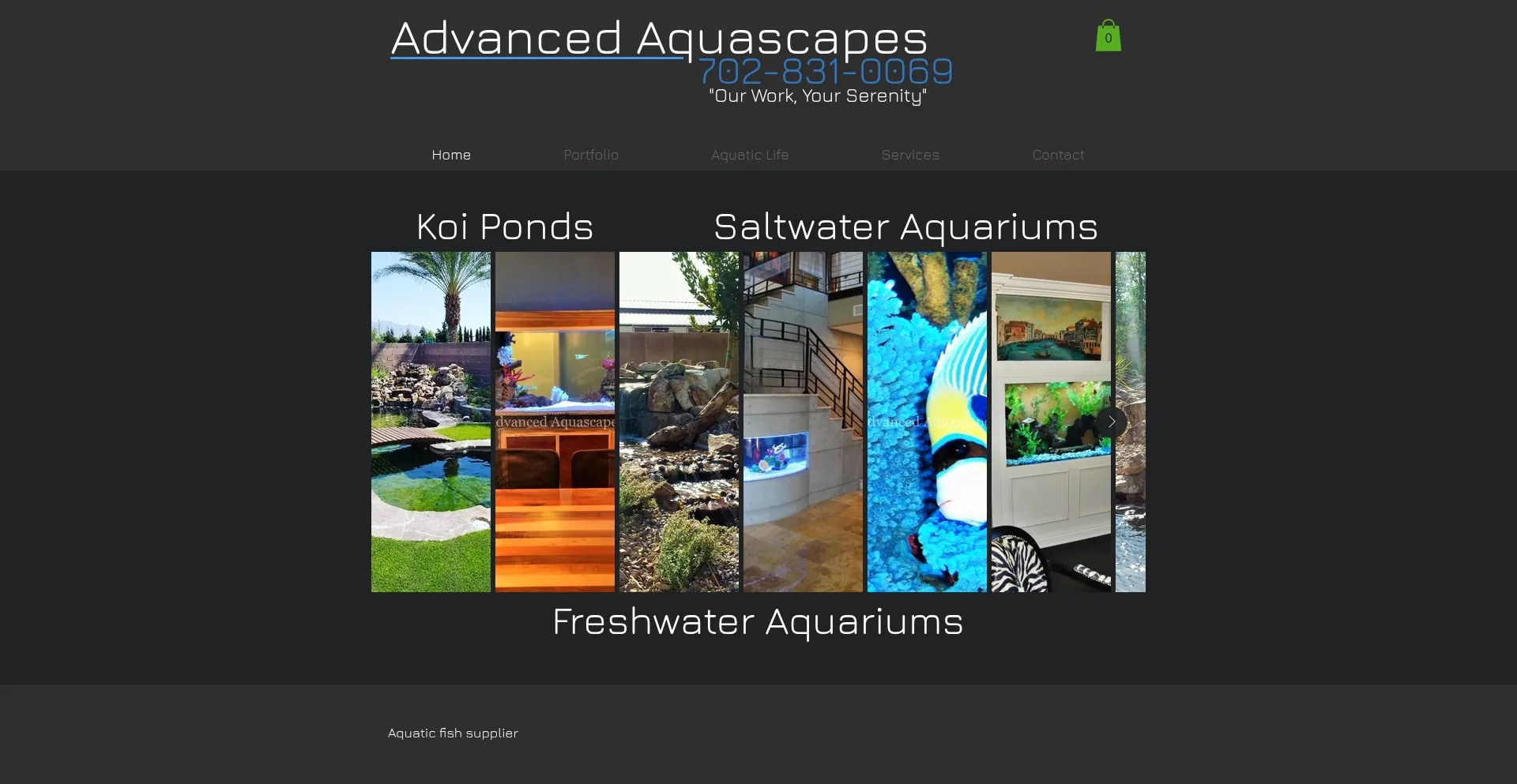 Advancedaquascapes.com
