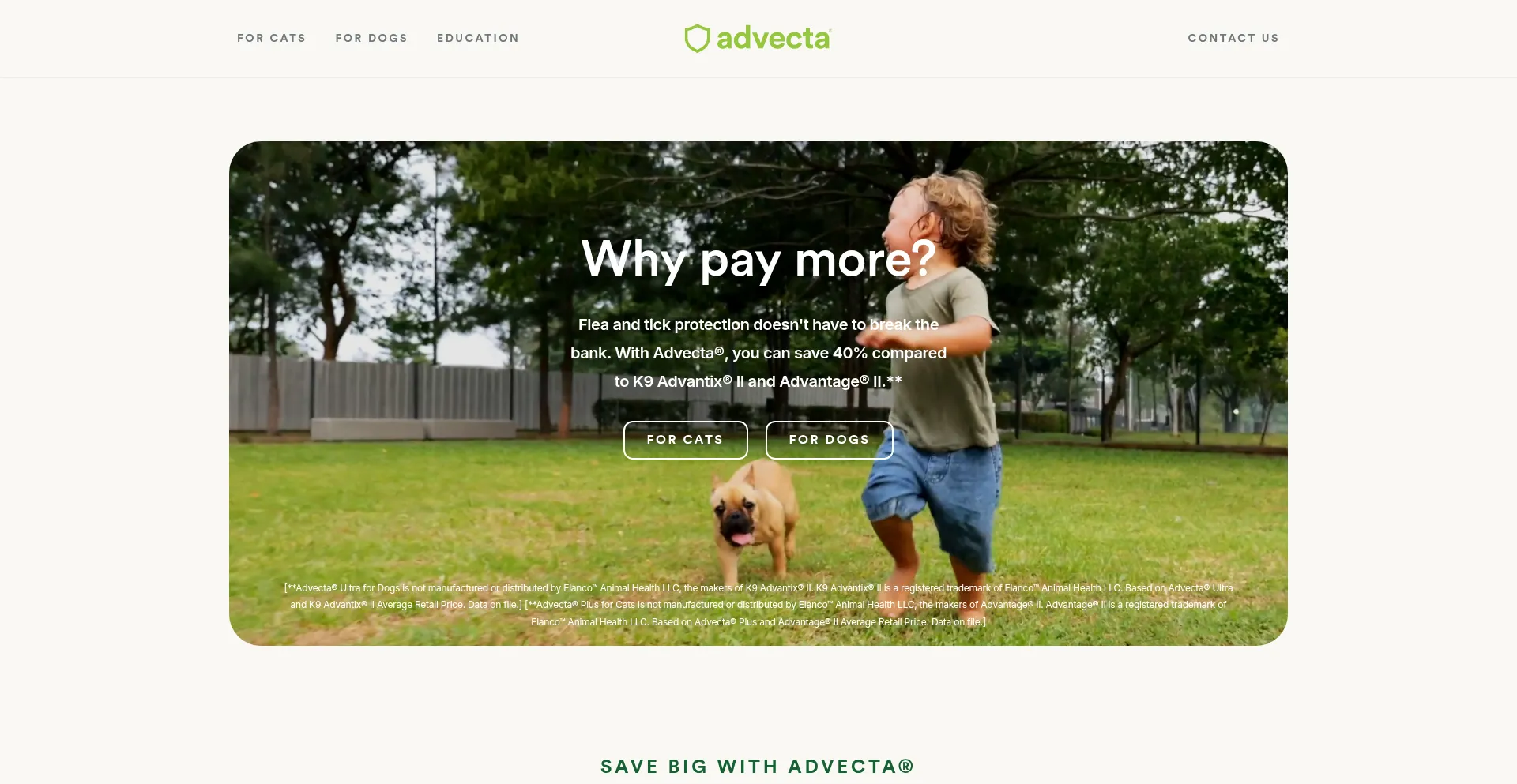 Website screenshot of Advecta.com