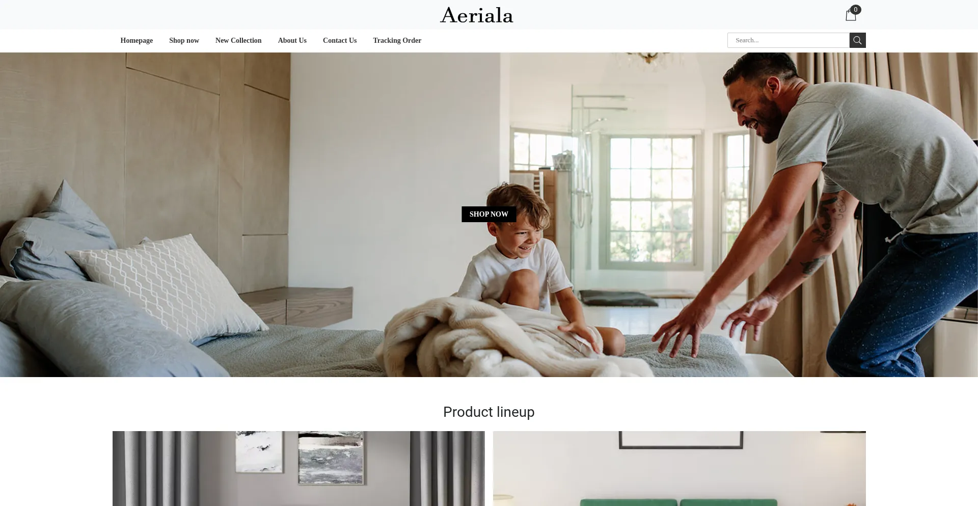 Aeriala.com Screenshot