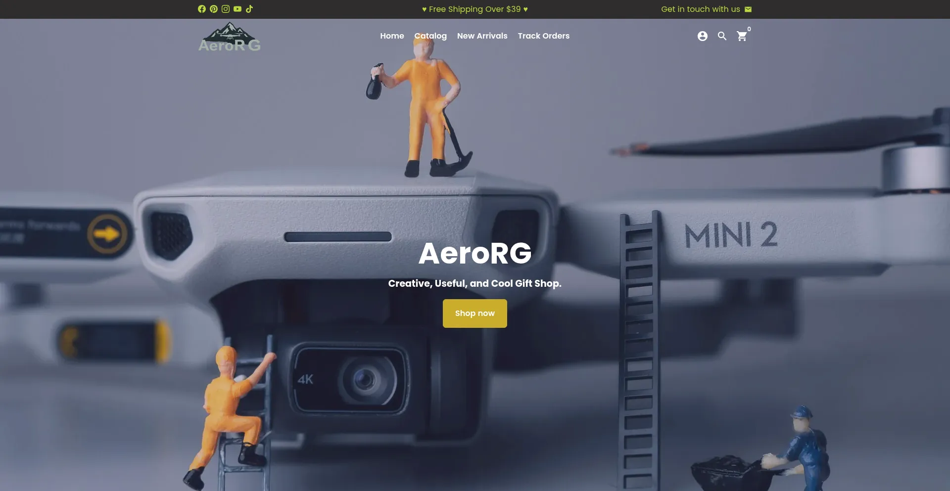 Website screenshot of Aerorg.com