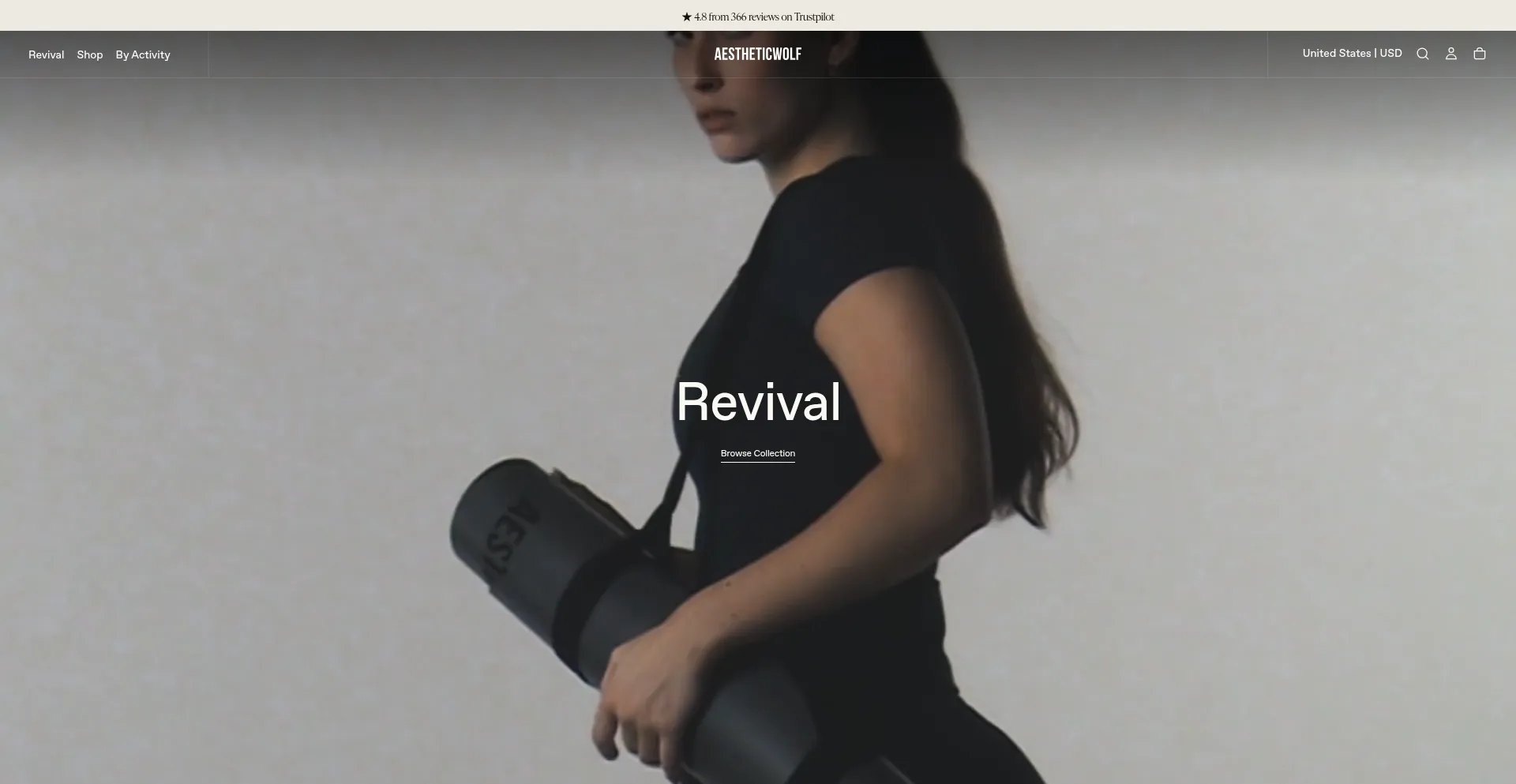 Aestheticwolf.com