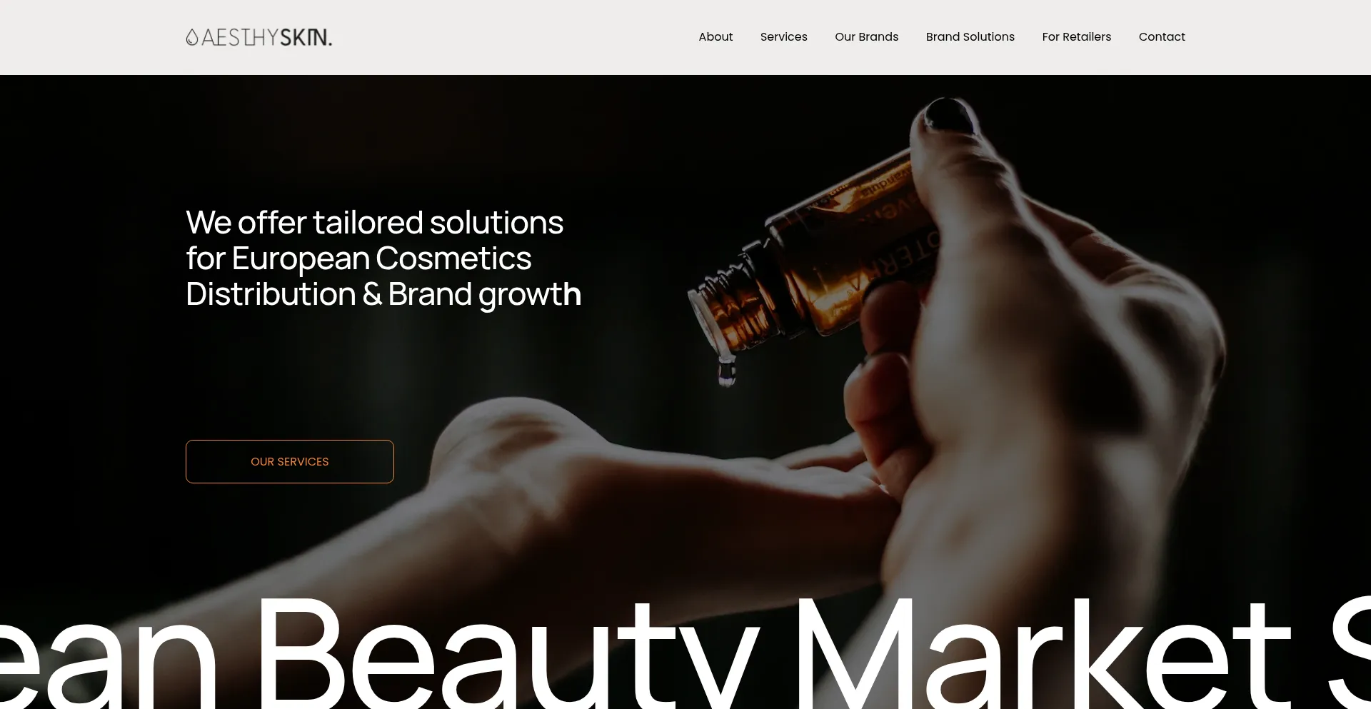 Website screenshot of Aesthyskin.com