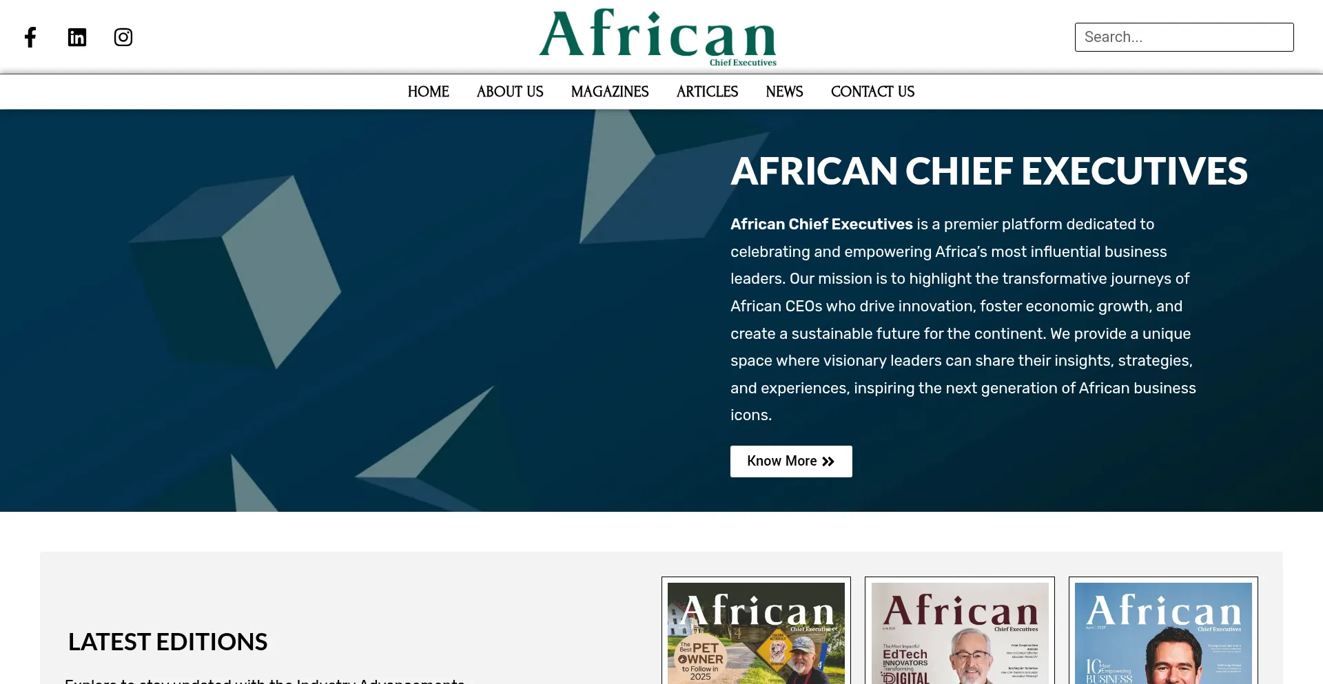 Website screenshot of Africanchiefexecutives.com