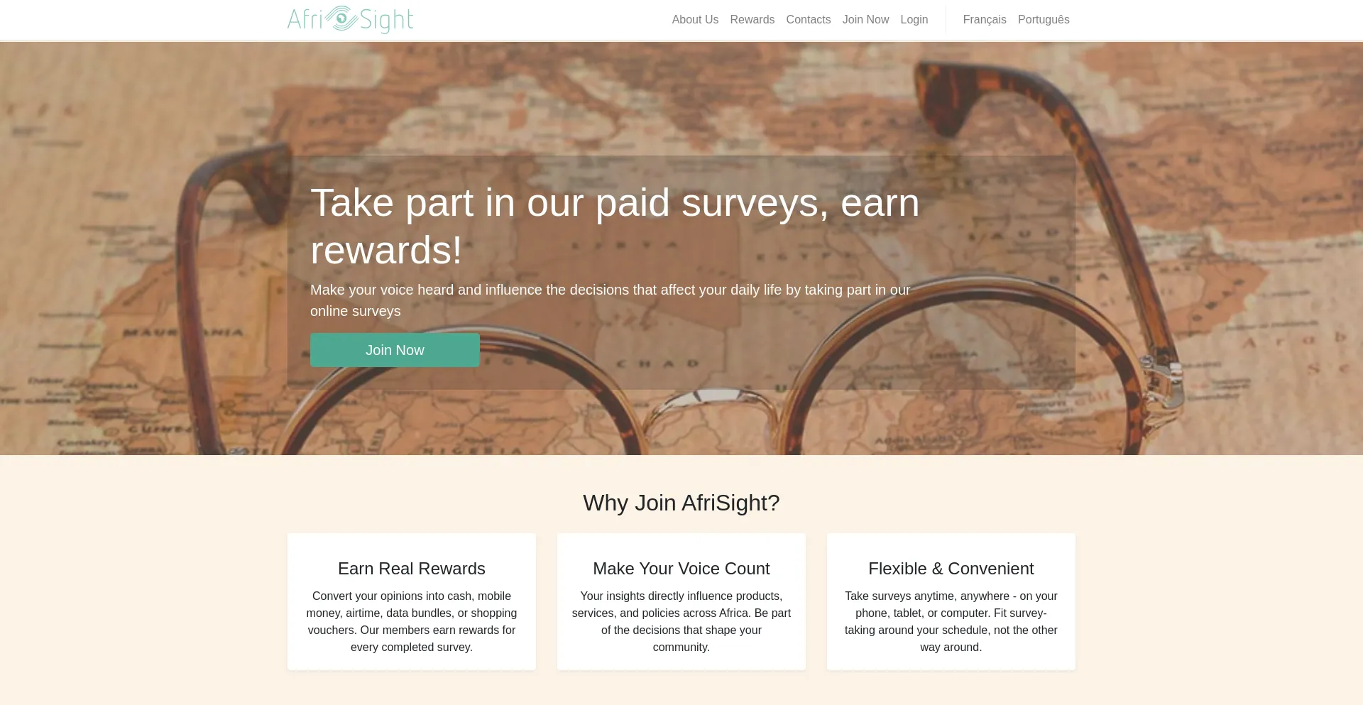 Website screenshot of Afrisight.com