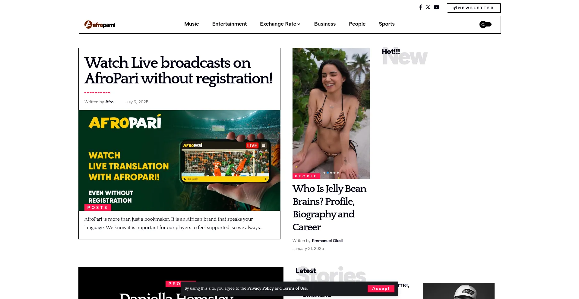 Website screenshot of Afropami.com