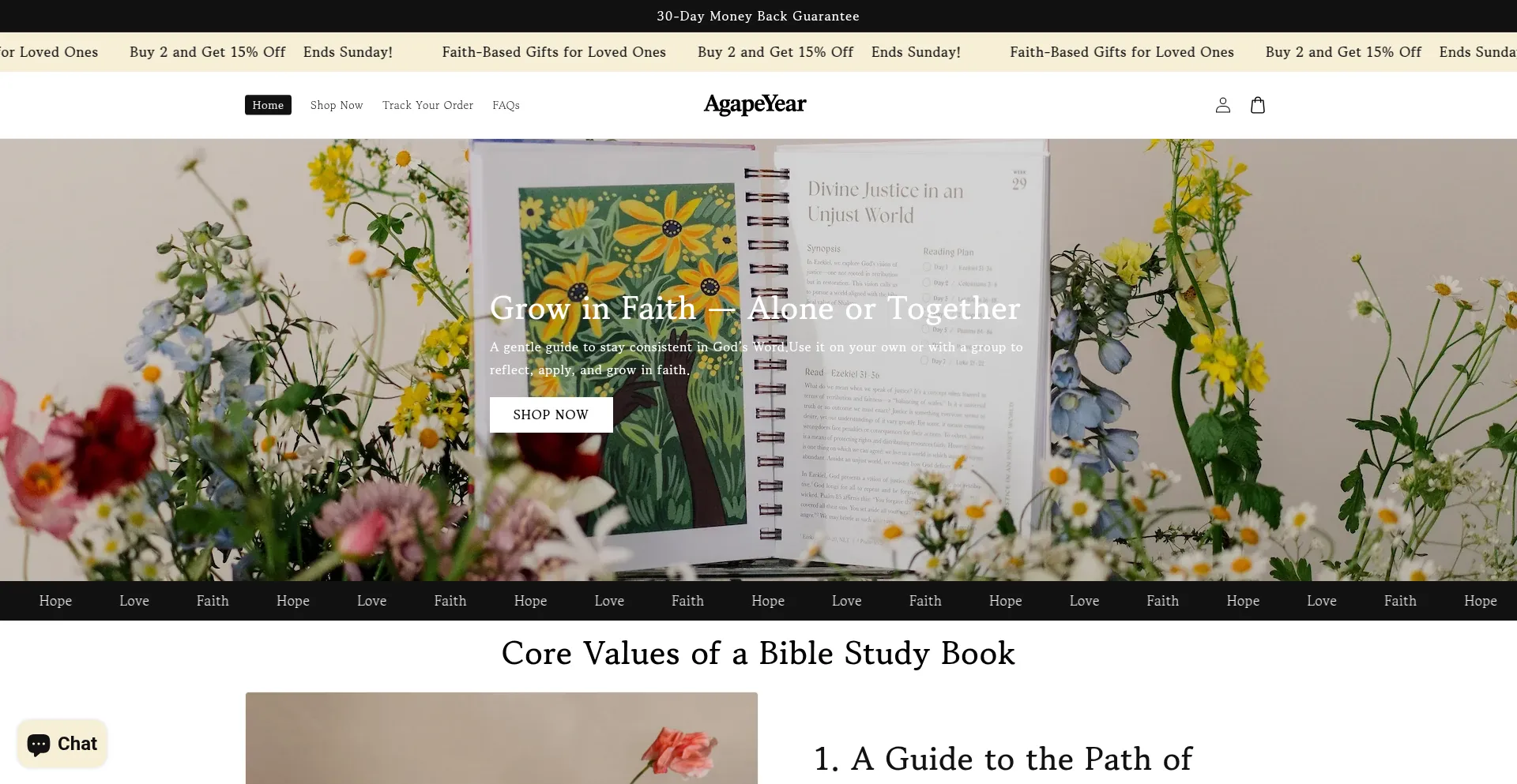 Agapeyear.com Screenshot