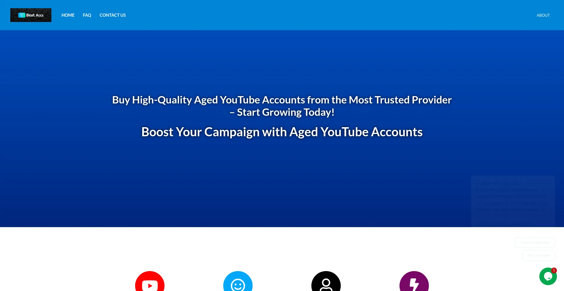 Website screenshot of Agedytaccounts.org