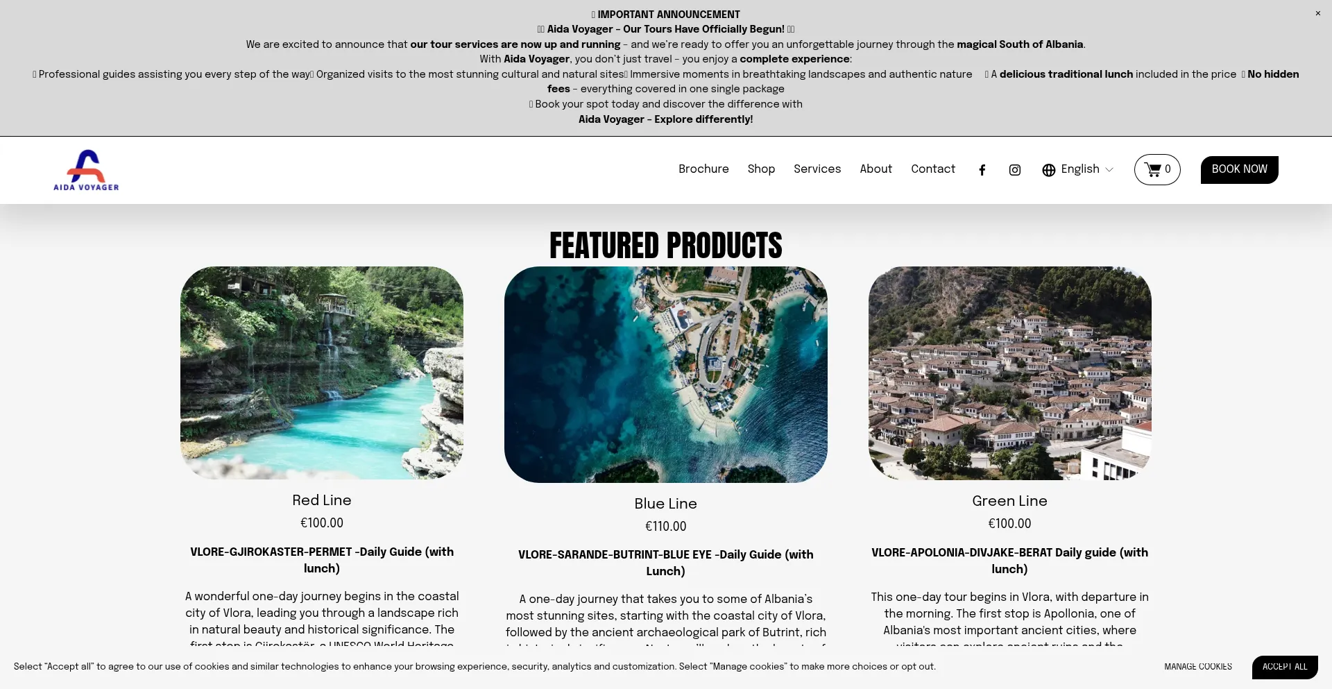 Website screenshot of Aida-voyager.com