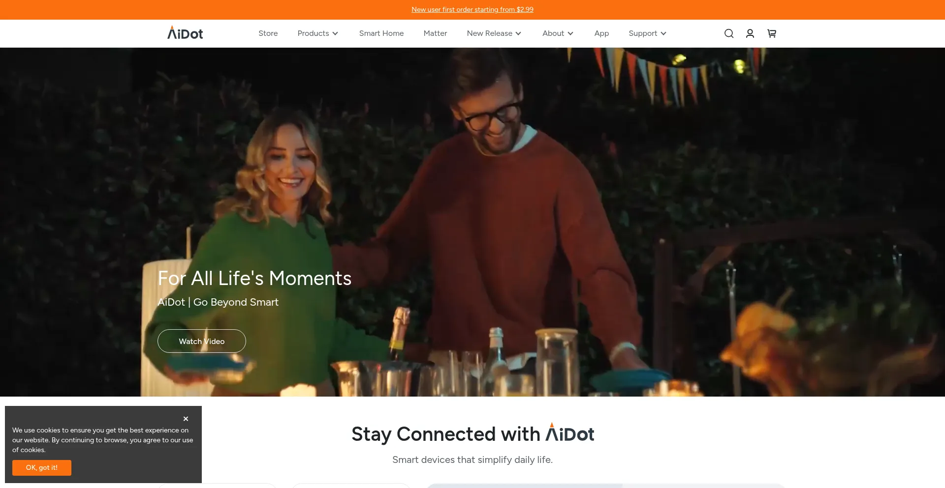 Website screenshot of Aidot.com