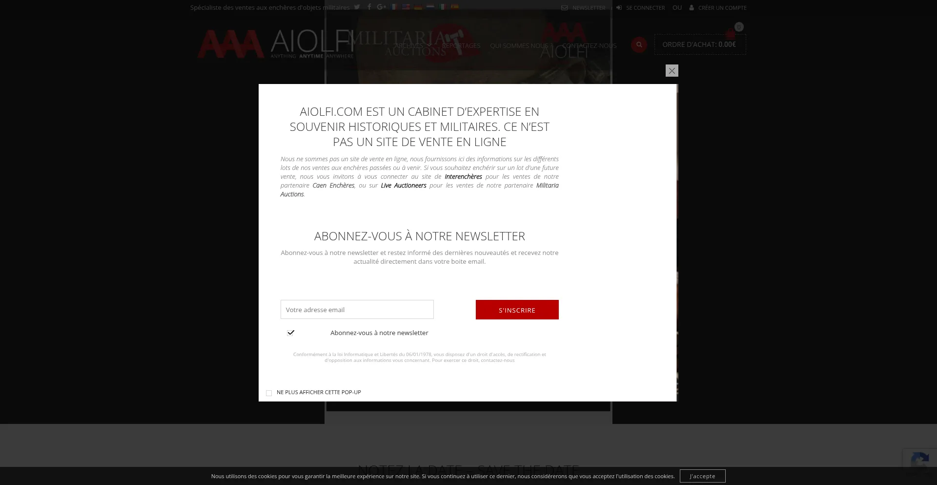 Website screenshot of Aiolfi.com