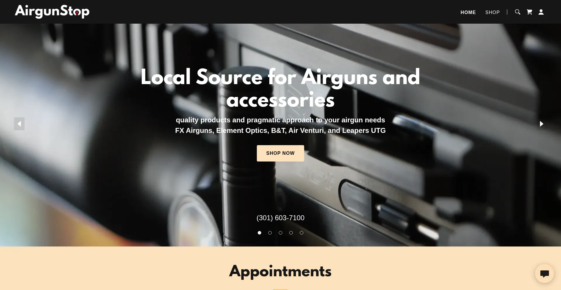 Website screenshot of Airgunstop.com