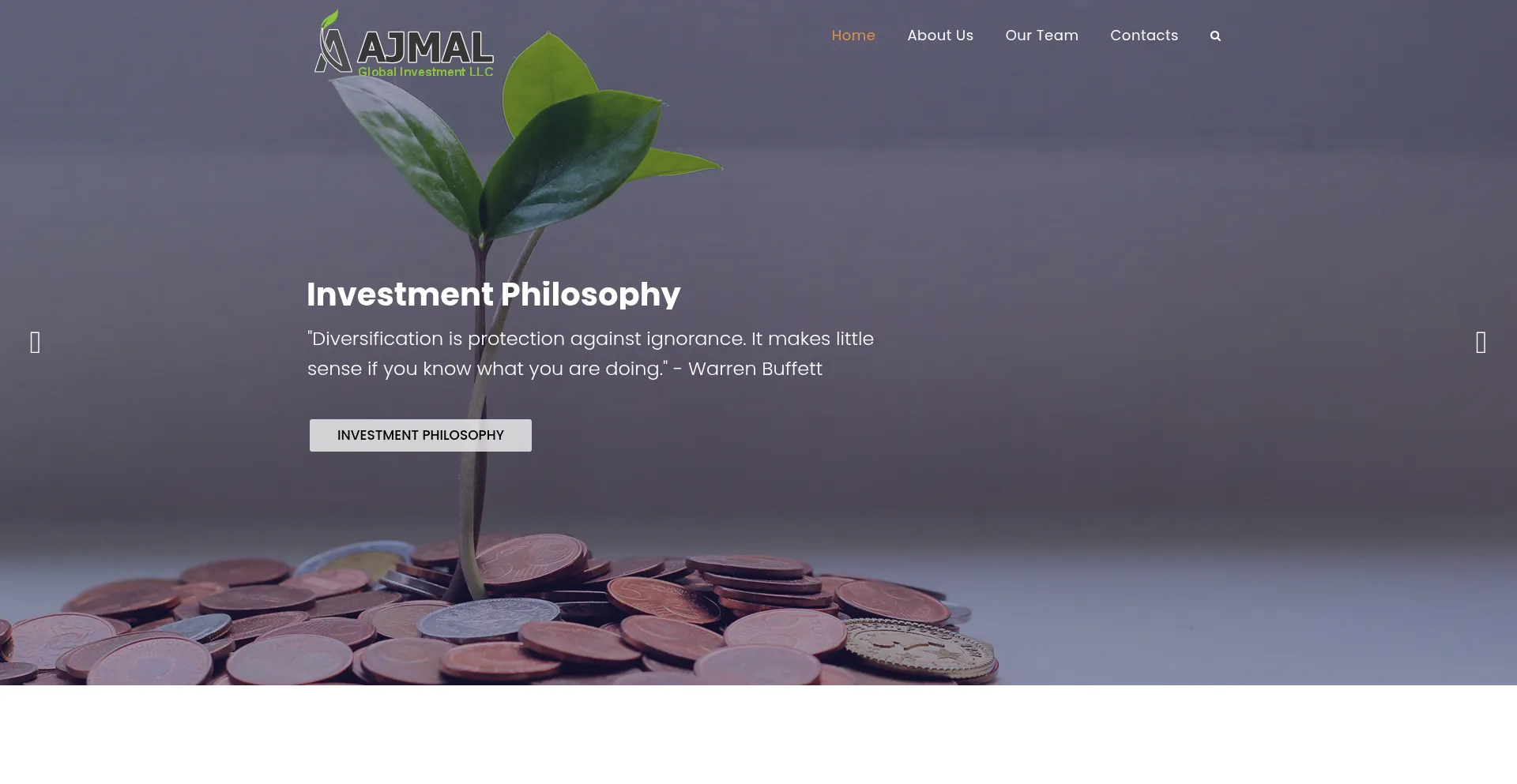 Ajmalglobalsinvestments.com