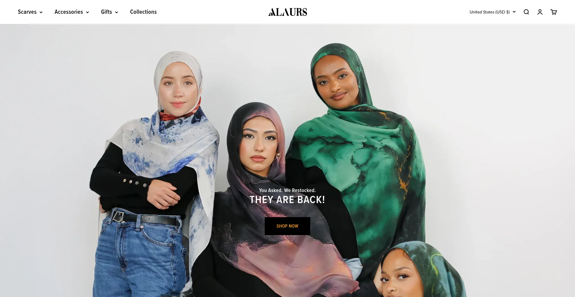Website screenshot of Alaurs.com