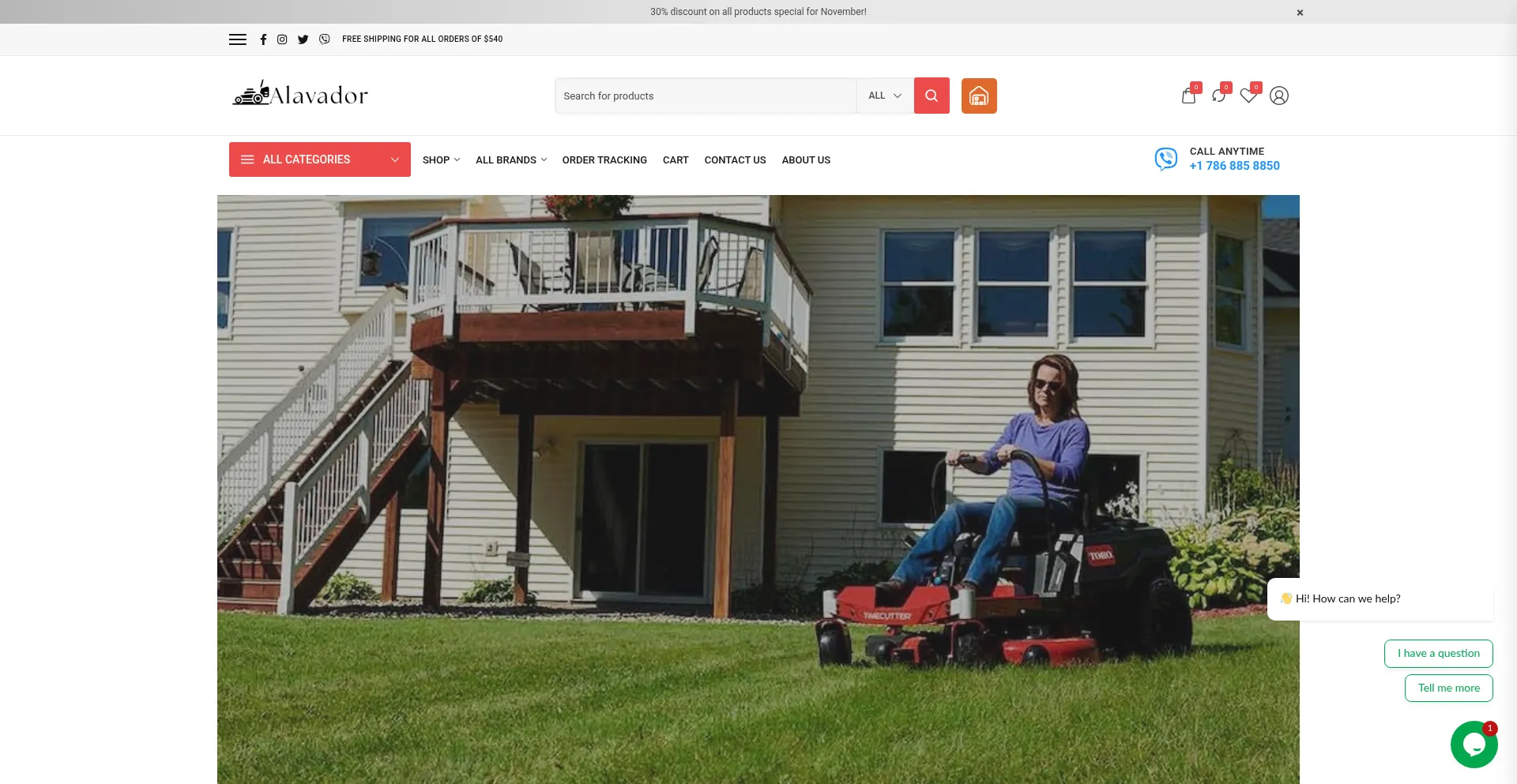 Website screenshot of Alavador.shop