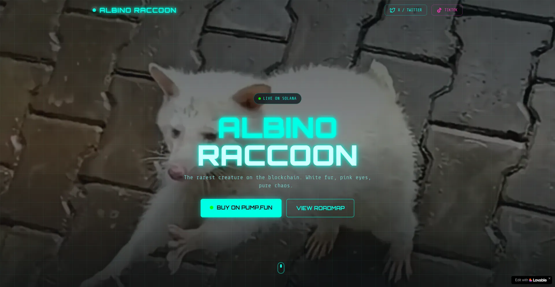 Albinoracoon.lovable.app