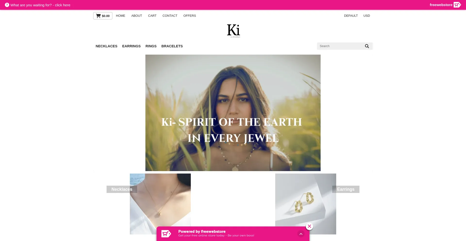 Website screenshot of Alejandrabenedetty.fwscheckout.com