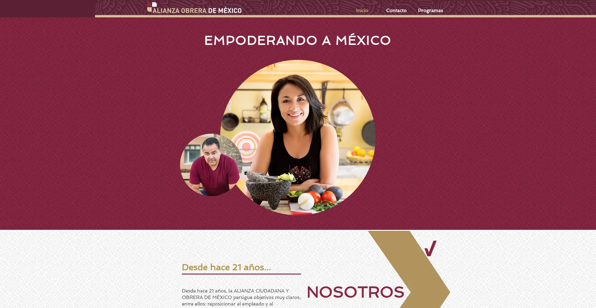 Website screenshot of Alianzaobrerademexico.org.mx