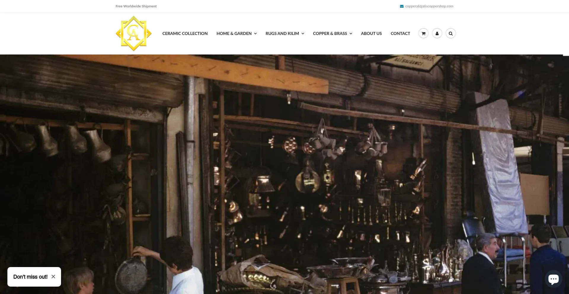 Website screenshot of Aliscoppershop.com