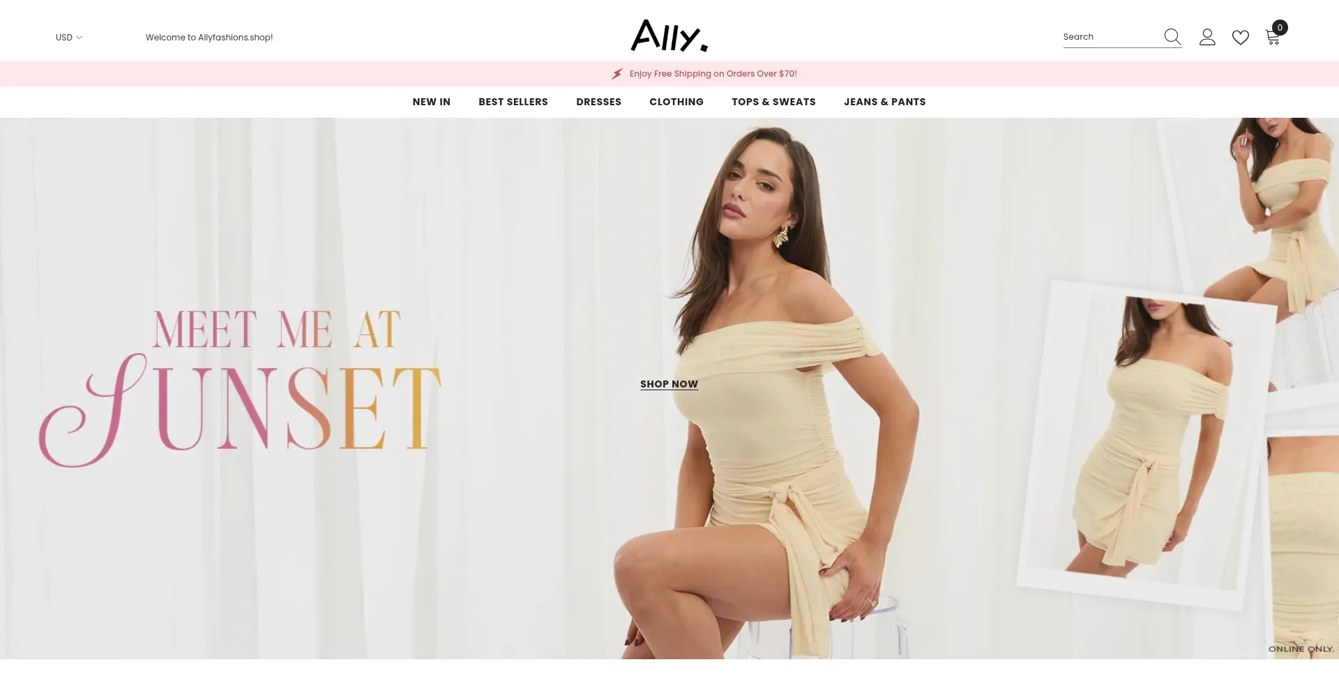 Website screenshot of Allyfashions.com