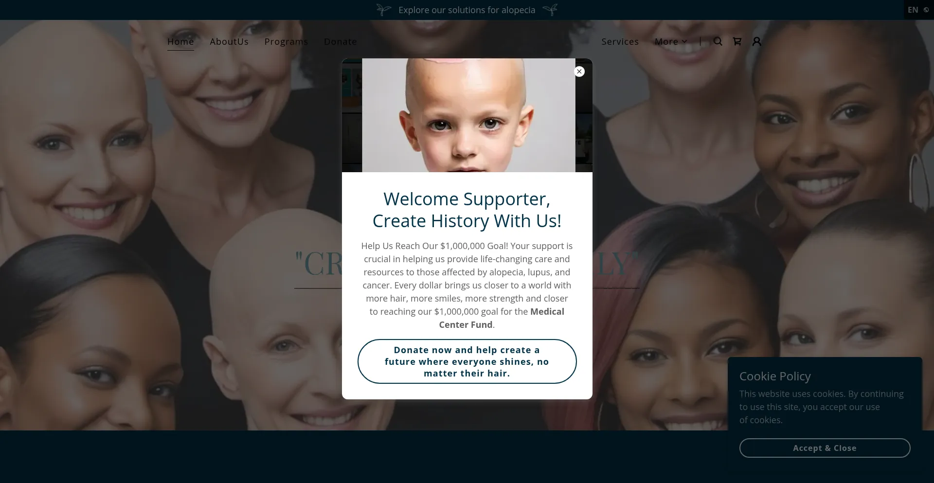 Website screenshot of Alopecianbeautyco.org