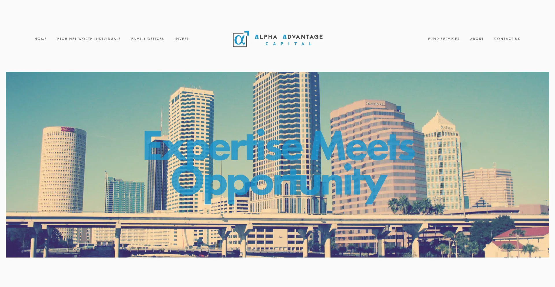 Website screenshot of Alphaadvantagecapital.com