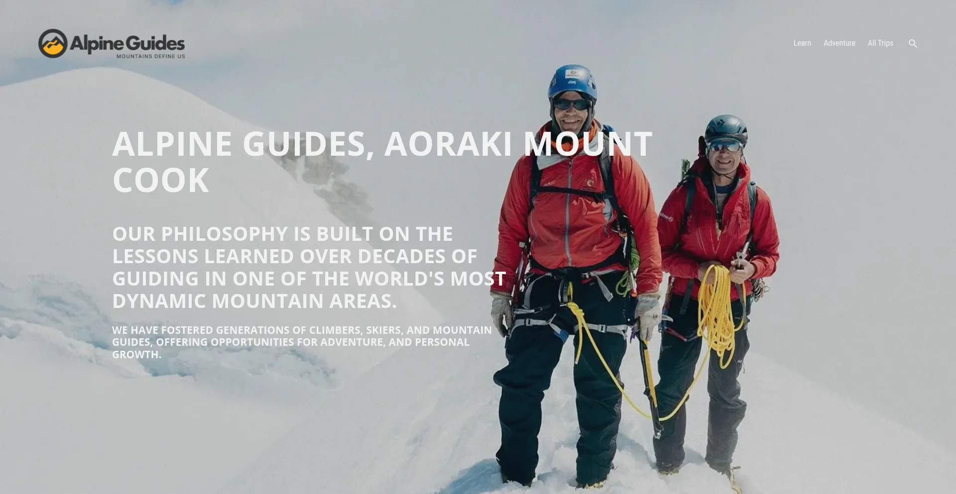 Alpineguides.co.nz Screenshot