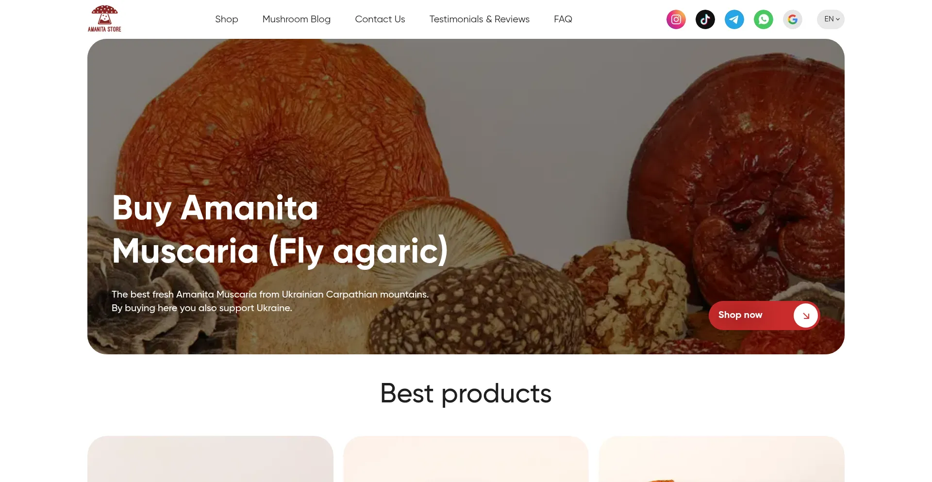 Website screenshot of Amanitamuscariastore.online