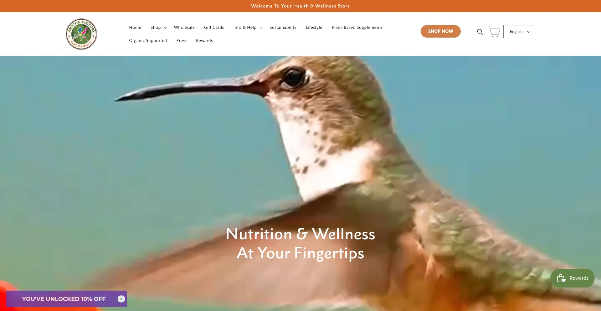 Website screenshot of Amazonfactory.com