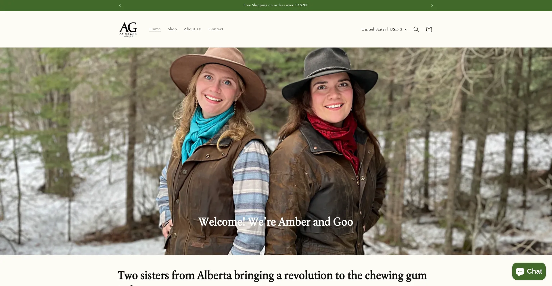 Website screenshot of Ambergoo.store