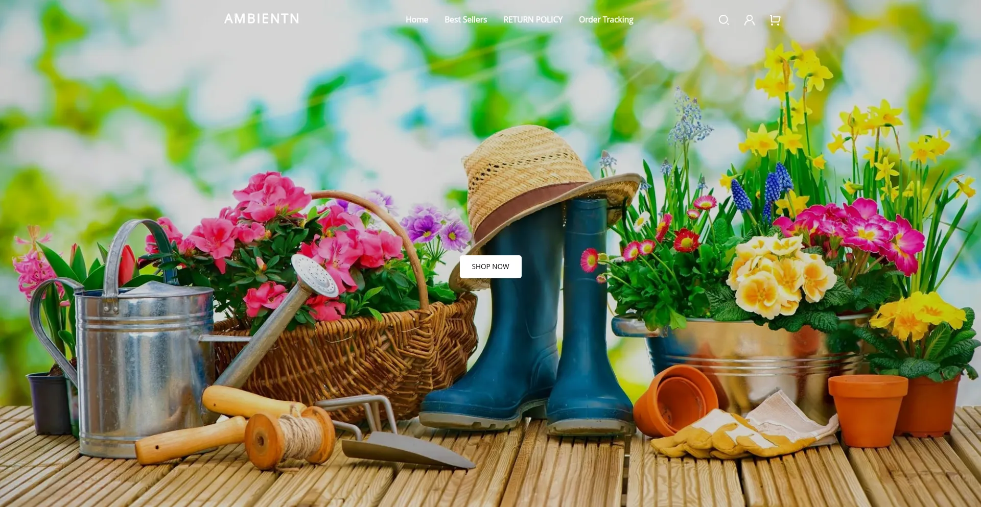 Website screenshot of Ambientn.com