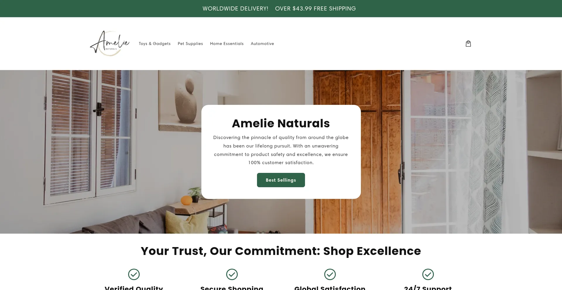 Website screenshot of Amelienaturals.com