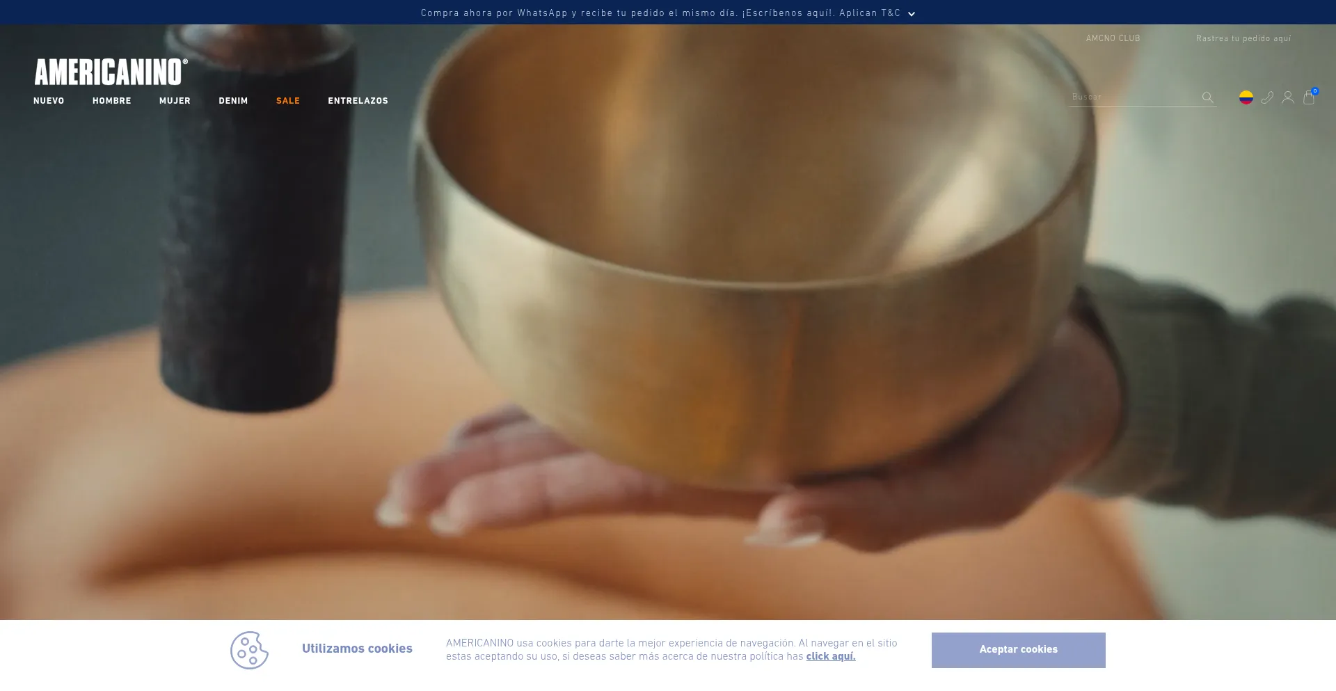 Americanino.com Screenshot